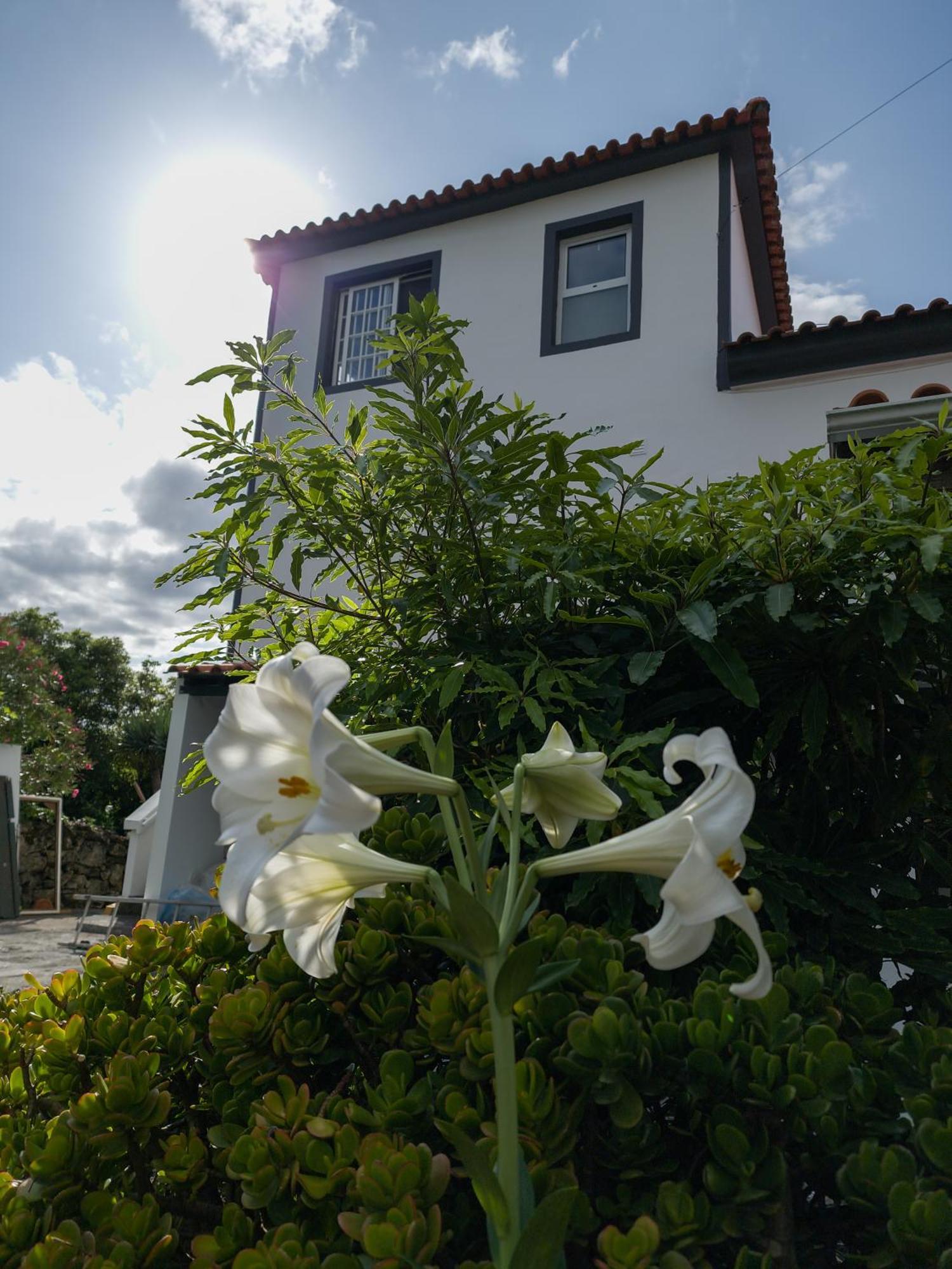 Loving Strangers Hostel Madalena  Exterior photo